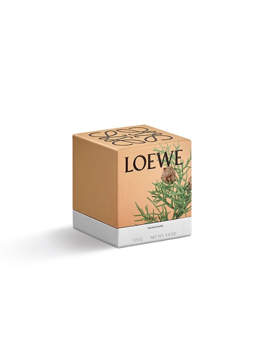 LOEWE Small Cypress Balls Candle - geurkaars 170 gram - detail 3 undefined