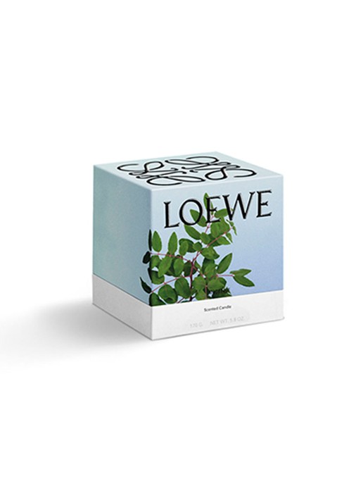 LOEWE Small Incense Candle - geurkaars 170 gram - detail undefined