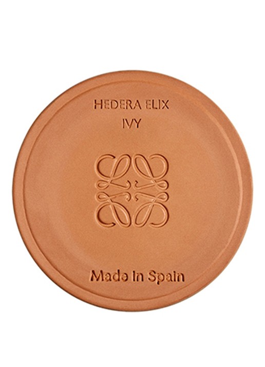 LOEWE Small Ivy Candle - geurkaars 170 gram - detail 2 undefined