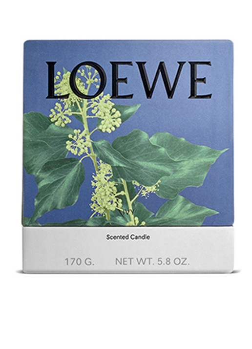 LOEWE Small Ivy Candle - geurkaars 170 gram - voorkant 7 undefined