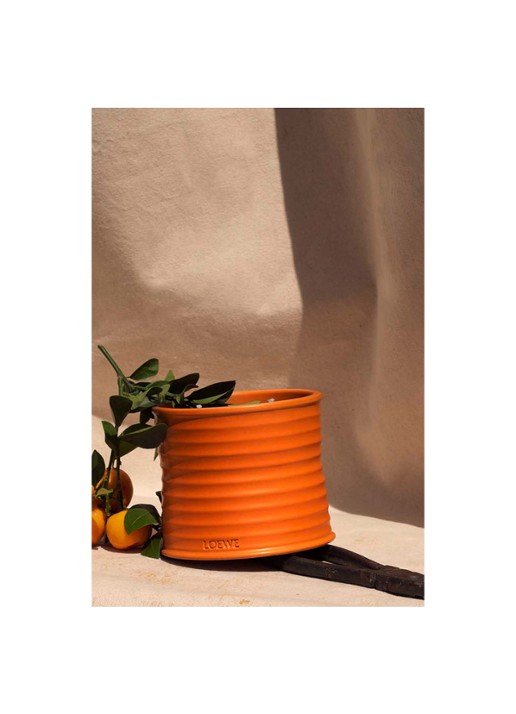 LOEWE Small Orange Blossom Candle - geurkaars 170 gram - detail 6 undefined