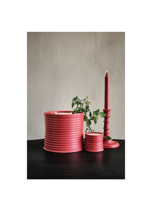 LOEWE Small Tomato Leaves Candle - geurkaars 170 gram - detail 7 undefined