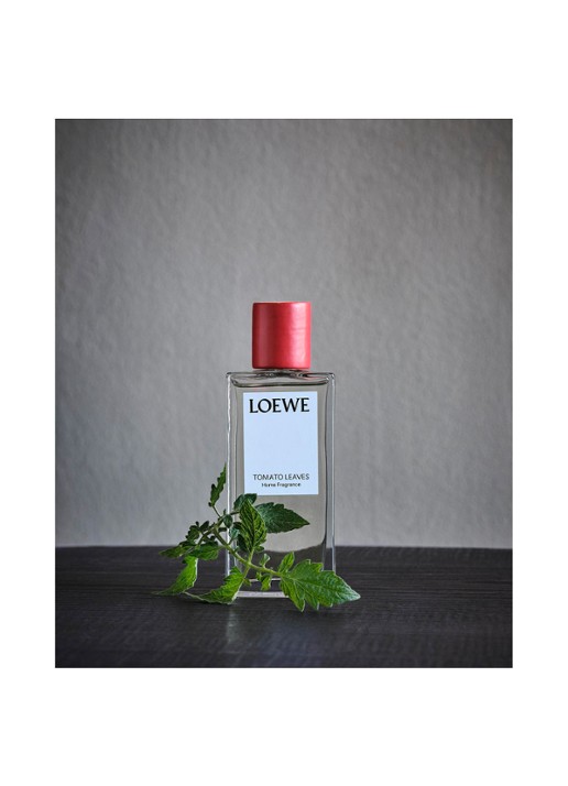 LOEWE Tomato Leaves Room Spray - huisparfum 150 ml - detail 7 undefined