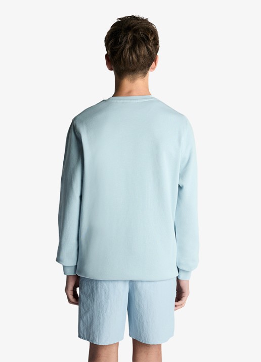 Lyle & Scott Sweater met logoborduring - achterkant 6 blauw