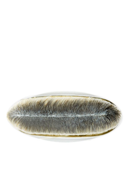 M·A·C 190 Foundation Brush - kwast - detail 2 undefined