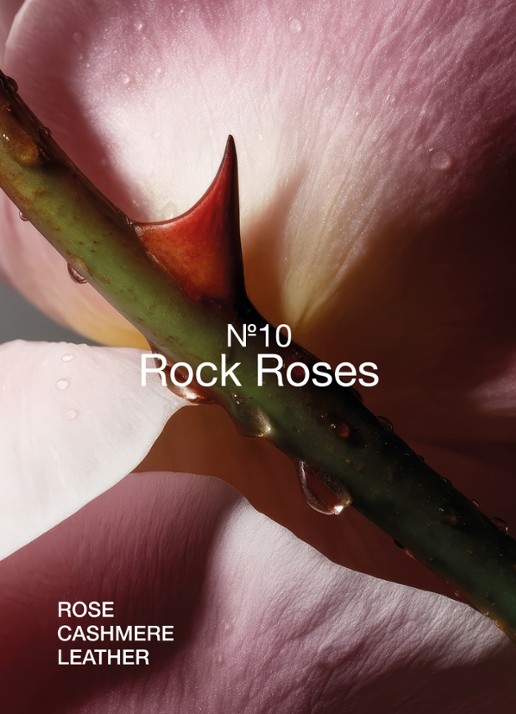 Marie-Stella-Maris No. 10 Rock Roses Fragrance Sticks - geurstokjes navulling 750 ml - achterkant transparant