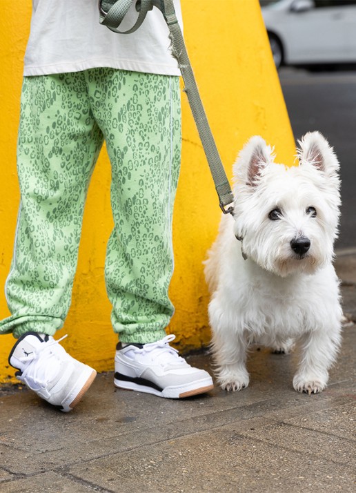 Mini Rodini Tapered fit joggingbroek met panterprint - voorkant 3 groen