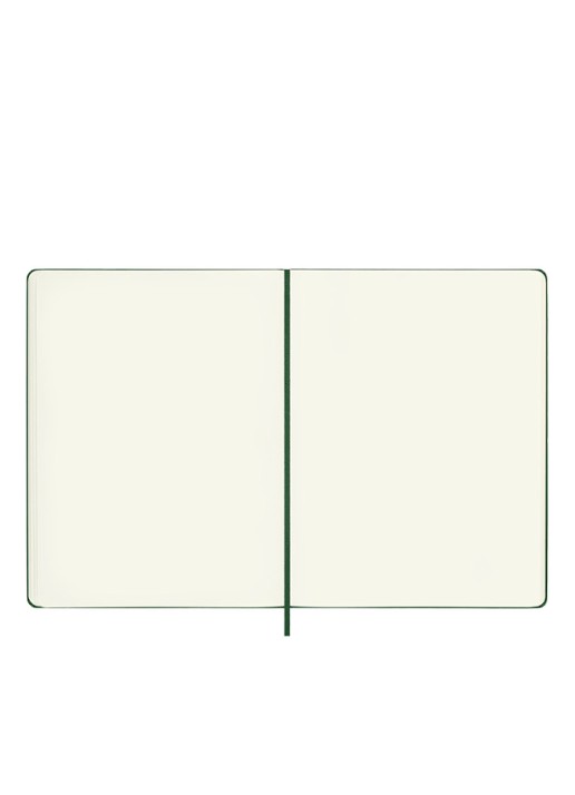 Moleskine Notitieboek blanco papier 25 x 19 cm  - voorkant 2 groen