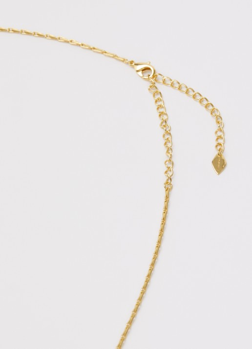 Moliane Dioni ketting verguld met hanger - detail 2 goud