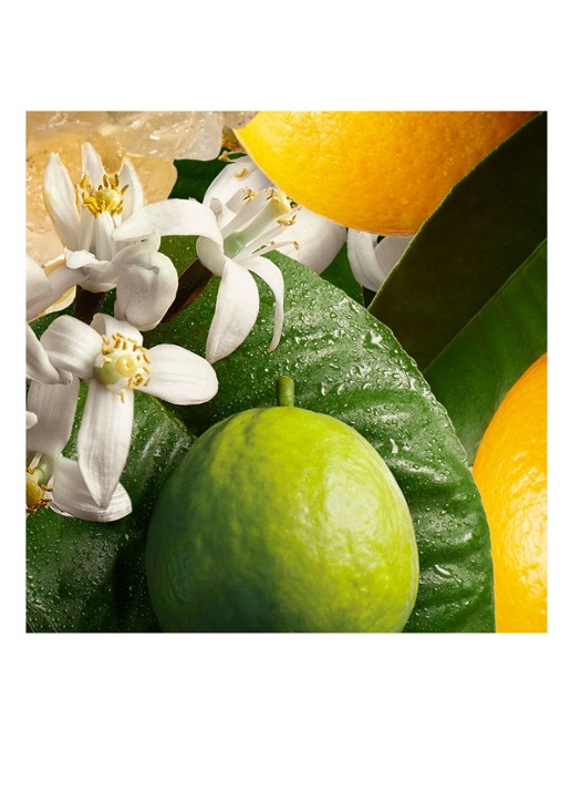 Molton Brown Orange & Bergamot Bath & Showergel - bad- en douchegel - detail 4 undefined