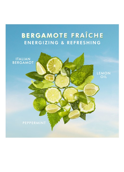 Moroccanoil Body Bergamot Fraiche - bodylotion - detail 6 undefined