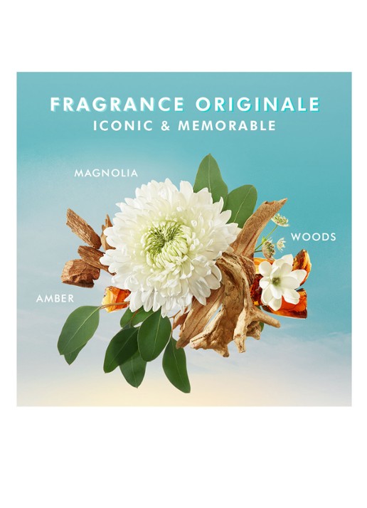 Moroccanoil Body Butter Fragrance Originale - bodybutter - detail 6 undefined