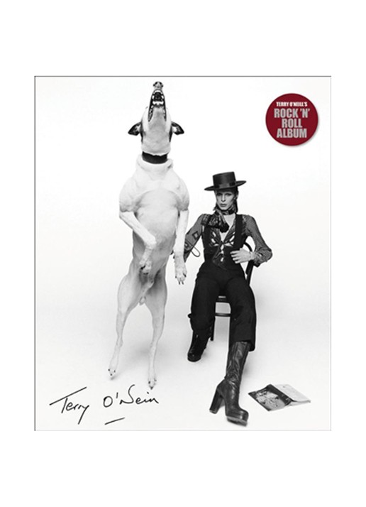 O'NEILL T TERRY O'NEILL'S ROCK - voorkant undefined
