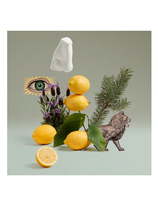 Penhaligon's Blenheim Bouquet Eau de Toilette - detail 4 undefined