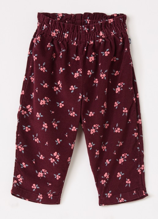 Petit Bateau Straight fit broek van fluweel