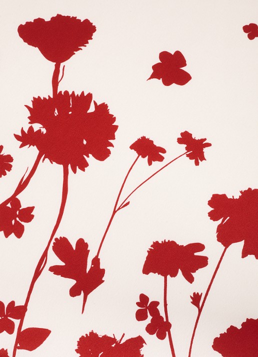 Phase Eight Marion top met bloemenprint - detail 5 ivoor