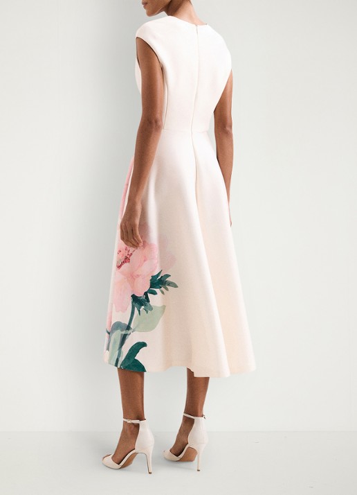 Phase Eight Rakhi Scuba Floral midi jurk met print - achterkant 3 oudroze