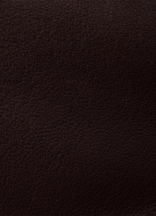 Prada Explore Medium schoudertas van lamsleer - detail 6 donkerbruin