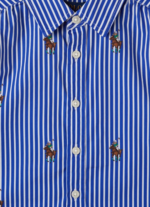 Ralph Lauren Blousejurk met streepprint - detail 3 rood
