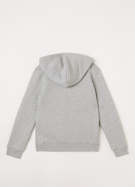 Ralph Lauren Hoodie met logoborduring - voorkant 2 lichtgrijs