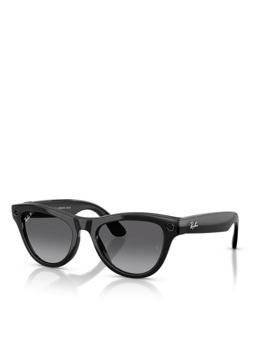 Ray-Ban Meta Skyler zonnebril gepolariseerd RW4014