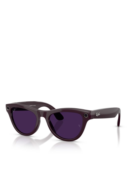 Ray-Ban Meta Skyler zonnebril RW4014