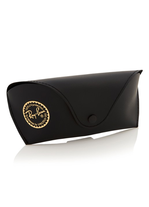 Ray-Ban Zonnebril RB4125 - detail 4 bruin