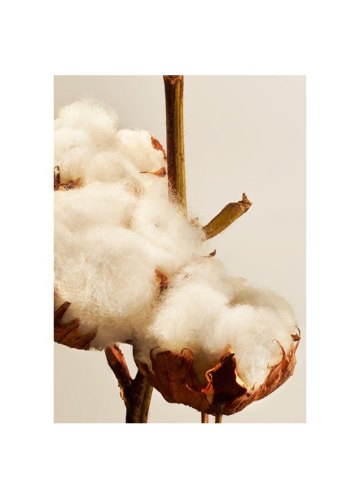Rituals Cotton Blossom Fragrance Sticks Refill - navulling voor luxe geurstokjes 1000 ml - detail 2 oranjebruin