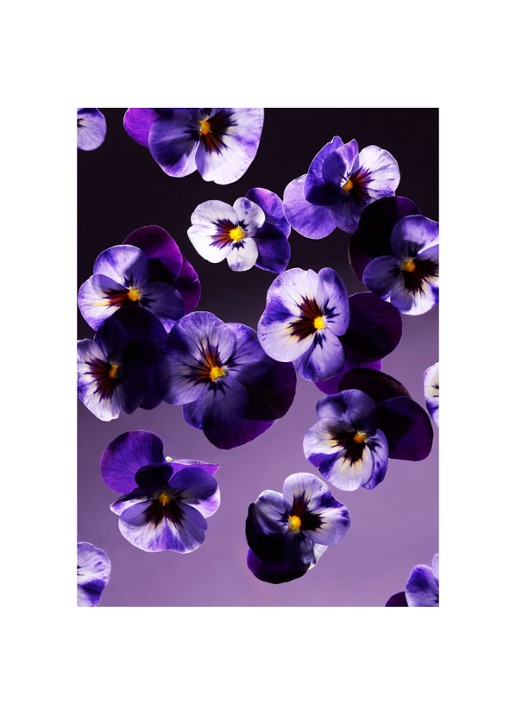 Rituals Smooth Violet Fragrance Sticks - geurstokjes - detail 3 undefined