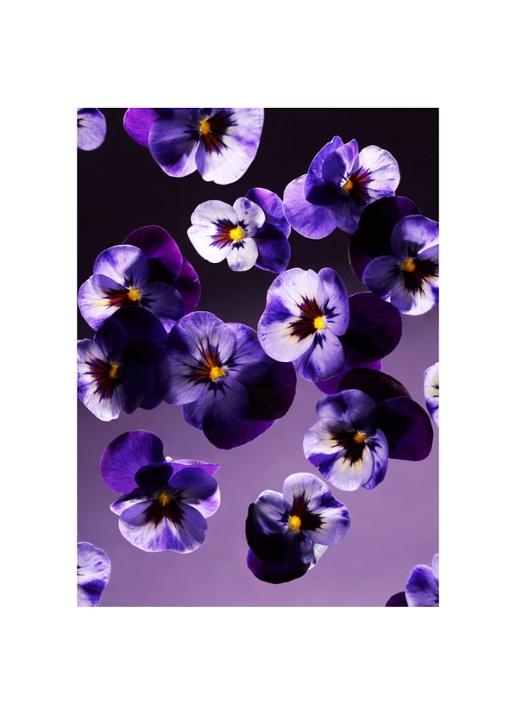 Rituals Smooth Violet geurkaars 360 cm - detail 3 oranjebruin