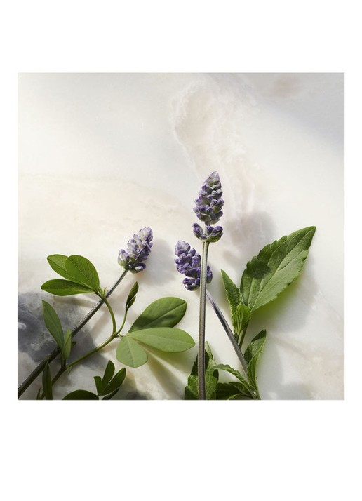 Rituals The Ritual of Namaste Anti-Ageing Night Cream - nachtcrème - detail 5 undefined
