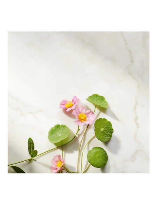 Rituals The Ritual of Namaste Firming Night Cream - nachtcrème - detail 4 undefined