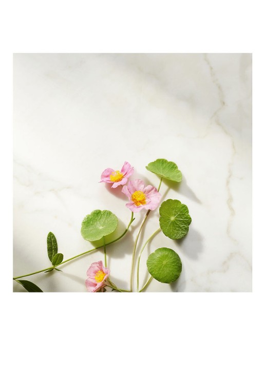 Rituals The Ritual of Namaste Firming Serum - detail 3 undefined