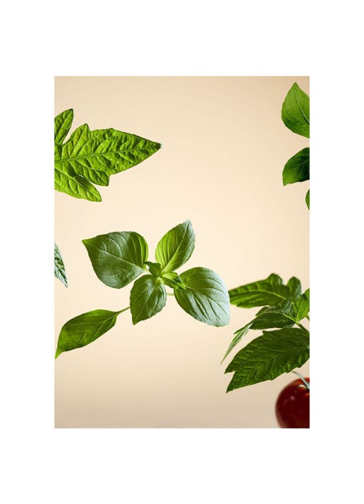 Rituals White Basil Fragrance Sticks - geurstokjes - detail 2 undefined
