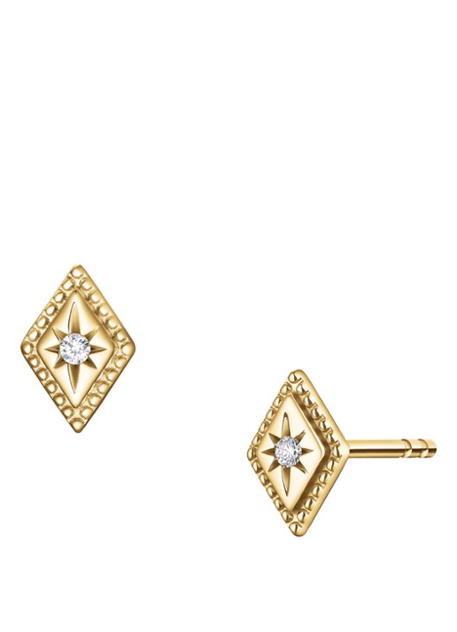 Rosefield Solitaire Star oorknopjes van 14 karaat geelgoud