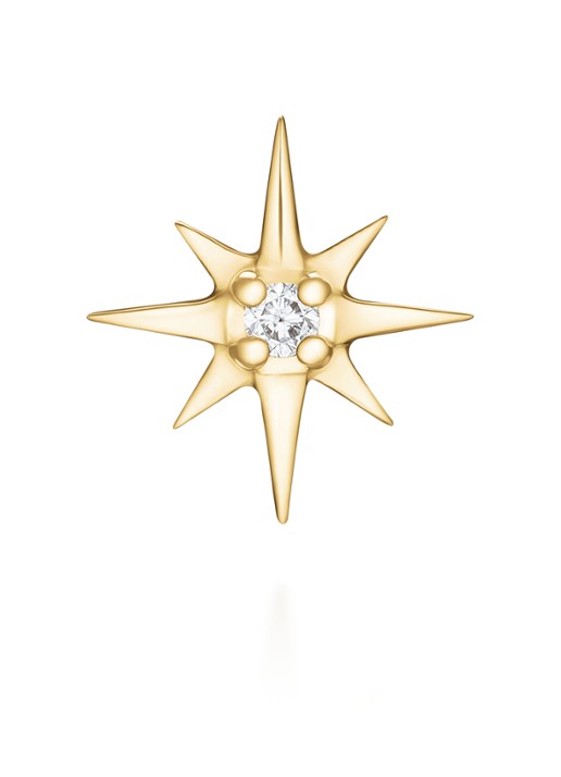 Rosefield Star oorknopjes van 14 karaat geelgoud - detail goud