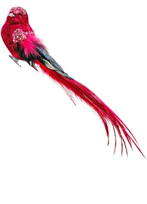 Shishi Velvet feather bird burgundy 27 cm