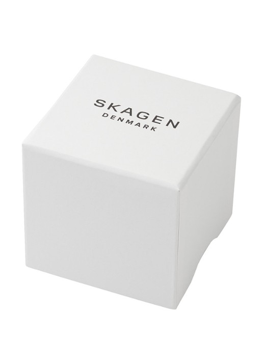Skagen Grenen Solar Powered horloge SKW6836 - detail 5 zilver