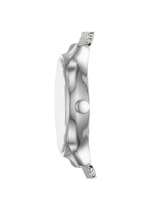 Skagen Horloge SKW2699 - detail zilver