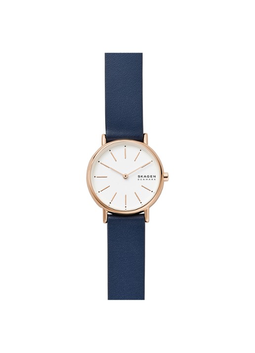 Skagen Horloge SKW2838