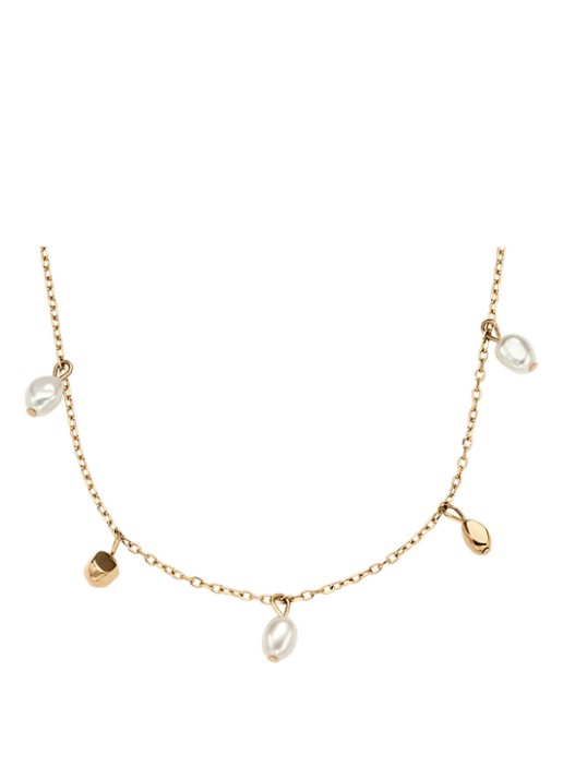 Skagen Ketting SKJ1879710