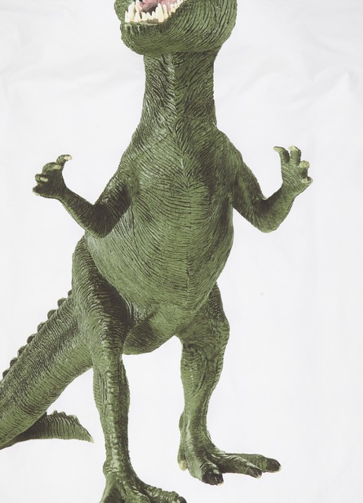 Snurk Dinosaurus Rex katoenen kinderdekbedovertrekset 160TC - inclusief kussenslopen - detail groen