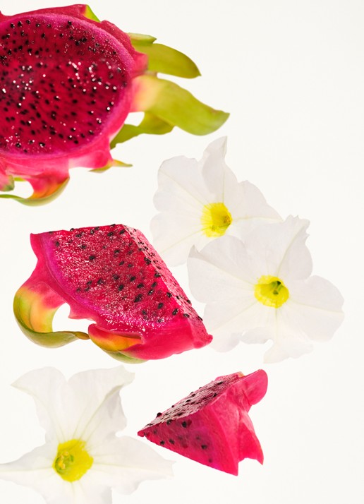 Sol de Janeiro Beija Flor Elasti-Body Oil - huidolie - detail 3 undefined
