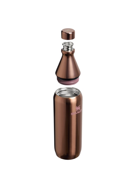 Stanley De All Day Slim waterfles 0,6 liter - detail 3 oudroze