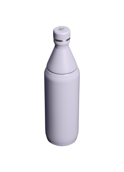 Stanley De All Day Slim waterfles 60 cl - achterkant 3 lila