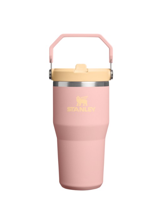 Stanley De IceFlow™ Flip Straw 2.0 waterfles 0,6 liter