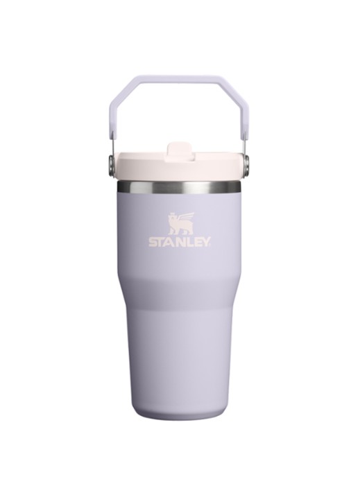 Stanley De IceFlow™ Flip Straw 2.0 waterfles 0,6 liter