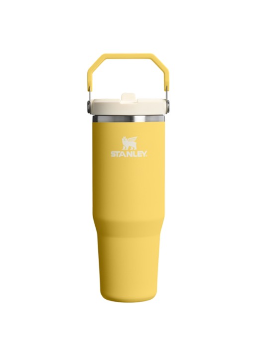 Stanley De IceFlow™ Flip Straw 2.0 waterfles 0,89 liter