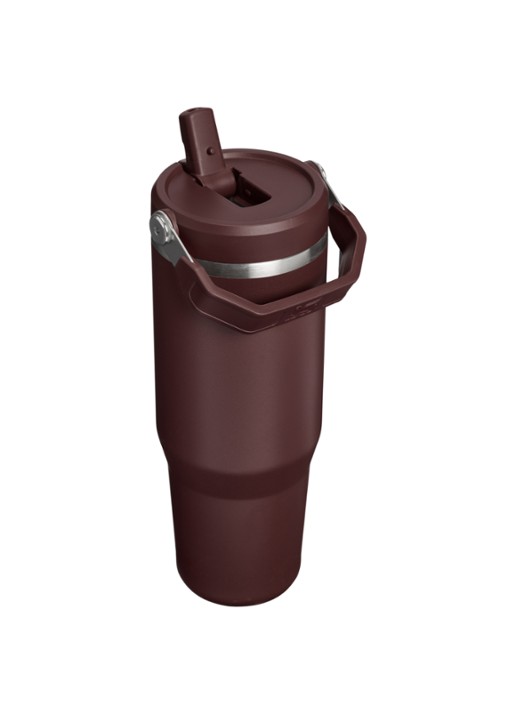 Stanley De IceFlow™ Flip Straw 2.0 waterfles 0,89 liter - achterkant donkerbruin