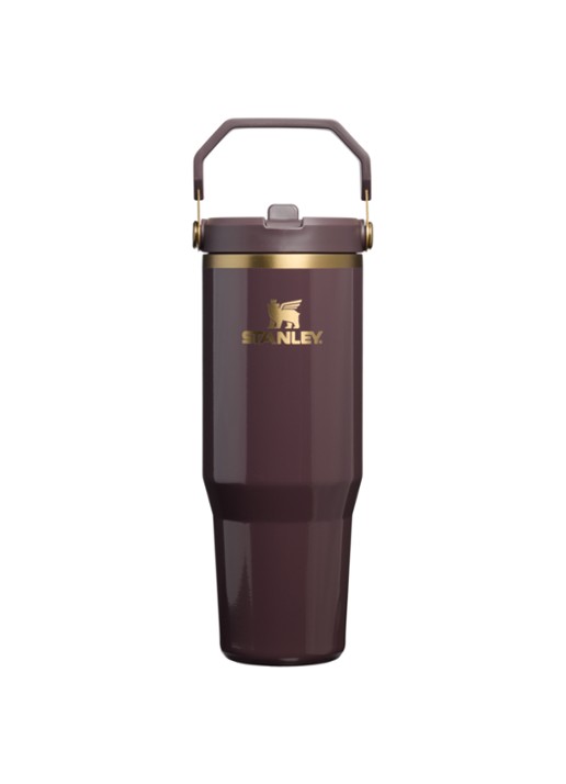 Stanley De IceFlow™ Flip Straw 2.0 waterfles 0,89 liter - voorkant aubergine